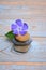 Three Zen stones on used wood with purple flower