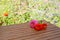 Three zinnia blooms outdoors on a wooden table