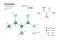 Threonine. Thr C4H9NO3 Amino Acid. Structural Chemical Formula and Molecule 3d Model. Atoms with Color Coding. Vector