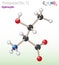 Threonine (Thr, T) amino acid molecule. (Chemical formula C4H9NO3)