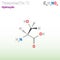 Threonine (Thr, T) amino acid molecule. (Chemical formula C4H9NO3)