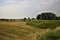 Threshed field bordered by an enbankment in the italian countryside in summer