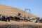 THRESHING BEE LABOR DAY IN PALOUSE WHITEMAN COUNTRY