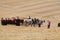 THRESHING BEE LABOR DAY IN PALOUSE WHITEMAN COUNTRY