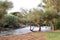 The threshold on the Jordan River in northern Israel