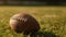 The thrill of football, Close-up of an American football on green grass