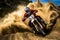 Thrills in the Wilderness: Motocross Unleashed in Nature