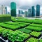 A thriving urban rooftop garden in the heart of the