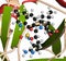 Thrombin blood-clotting enzyme bound to argatroban drug molecule. Thrombin converts soluble fibrinogen into insoluble fibrin.