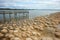 Thrombolites of Lake Clifton