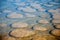 Thrombolites, Lake Clifton, West Australia