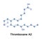 Thromboxane A2 aggregation