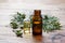 Thuja aroma essential oil in a glass jar on wooden background. Copy space. Selective focus