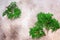 Thuja branches on a beige rustic background. Christmas composition. Top view, flat lay, copy space