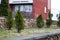 Thuja green bushes in flowerbed near building