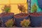 thuja seedlings planted in flowerpot