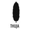 Thuja tree icon, simple black style