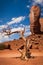 The Thumb, Monument Valley