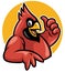 Thumb up cardinal