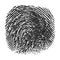 Thumbprint isolated on white background. Real fingerprint. Macro