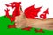 Thumbs up on a background of a flag of Wales