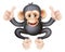 Thumbs Up Chimp Monkey