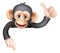 Thumbs Up Monkey Chimp Sign