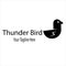 Thunder Bird Logo