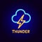 Thunder Cloud Neon Label