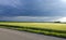 Thunder clouds above wheat field