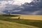 Thunder-storm over a field