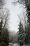 Thunderbird Falls hike on a snowy day