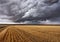 Thunderclouds above fields