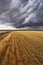 Thunderclouds above Montana