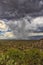 Thunderhead cloud produces rain shower over semi-desert grassland prairie