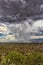 Thunderhead cloud produces rain shower over semi-desert grassland prairie