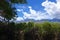 Thunderhead Clouds Over Sierra Nevadas