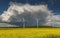 Thunderstorm approaching the field with blossoming rapeseed