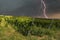 Thunderstorm over the vineyards in Rhineland-Palatinate/Germany