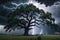 Thunderstorm Raging Above an Ancient Oak Tree - Twisted Branches Silhouetted Against Dark, Tumultuous