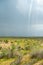 Thunderstorm unusual cloud over the Kyzylkum desert