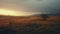 Thundery Evening Glow: Atmospheric And Moody Landscape With Lonely Tree