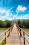 Thung Kha Bay Mangrove Forest. Wooden walkway. Chumphon, Thailand