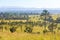 Thung salaeng Luang National Park . Savannah field and pine tree . Phetchabun and Phitsanulok province . Northern of Thailand . La