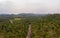 Thung Tako , Chumphon Thailand, palm trees from above at the southern part of Thaialnd