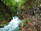 The Thur River Canyon die Schlucht des Flusses Thur in the Unterwasser settlement and the Obertoggenburg region