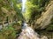 The Thur river canyon die Schlucht des Flusses Thur in the Unterwasser settlement and the Obertoggenburg region - Switzerland