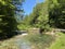 The Thur river in the village of Nesslau-Krummenau or in Unterwasser settlement and in the Obertoggenburg region - Switzerland