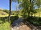 The Thur river in the village of Nesslau-Krummenau or in Unterwasser settlement and in the Obertoggenburg region - Switzerland