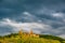 Thurant Castle and vineyards above Moselle river near Alken, Germany.